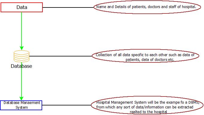 DBMS : Hospital Management System